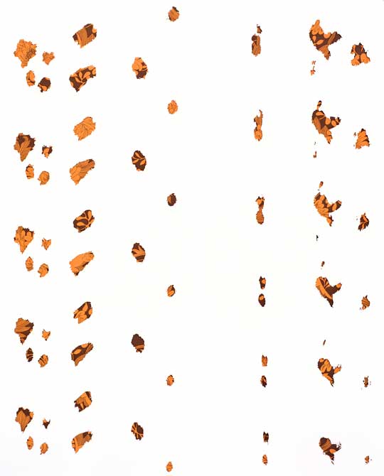 wallpaper by rats designed by frontdesign