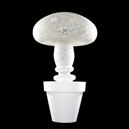 bob marcel wanders