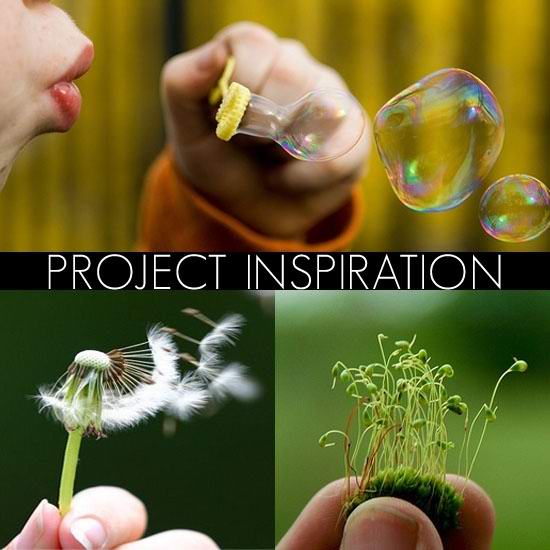 Bloom:peddling green