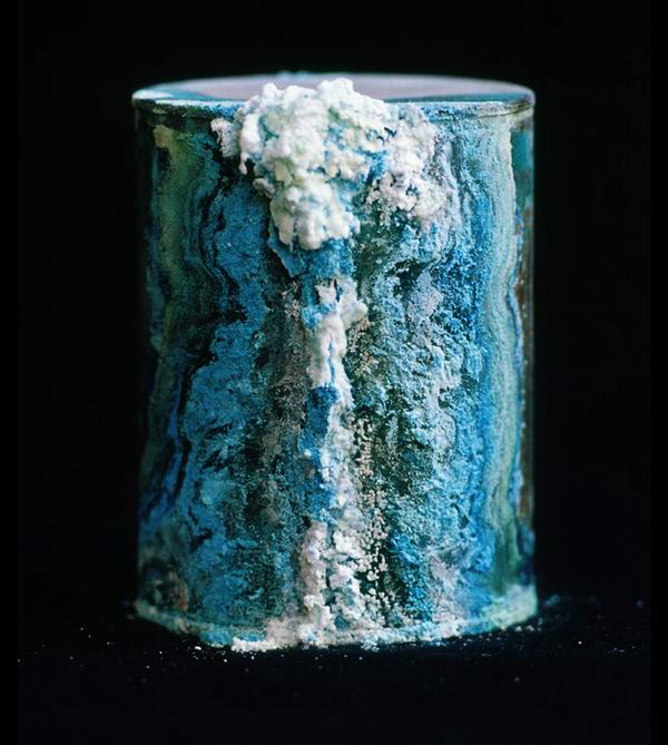 Library Of Dust By David Maisel