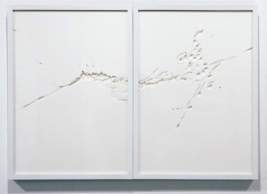 cutting book by noriko ambe