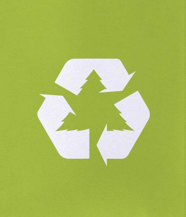 recycle at xmas green earth